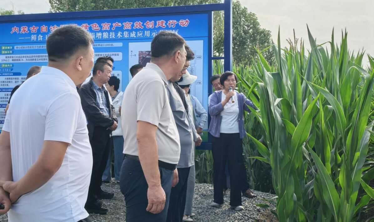 巴彦淖尔市农牧局(图1)