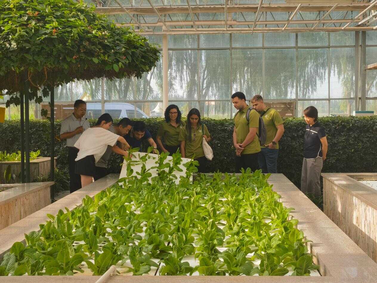巴彦淖尔市农牧局(图1)